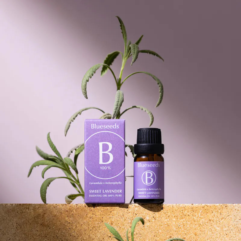 Lavender Essential Oil 10ml