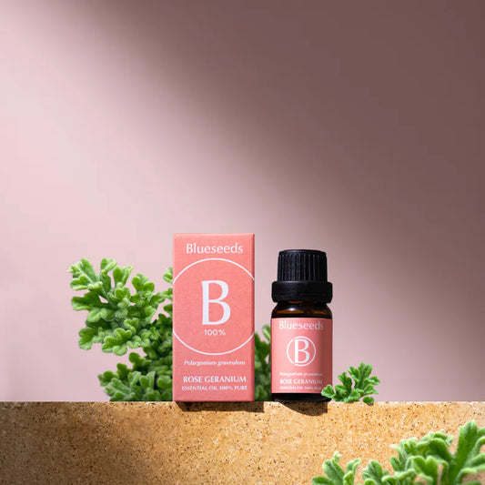 Rose Geranium Essential Oil 10ml