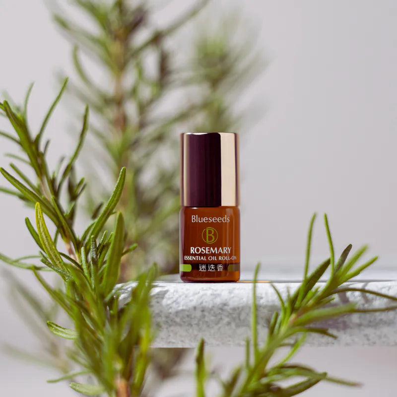 Rosemary Essential Oil Roll-On 2ml