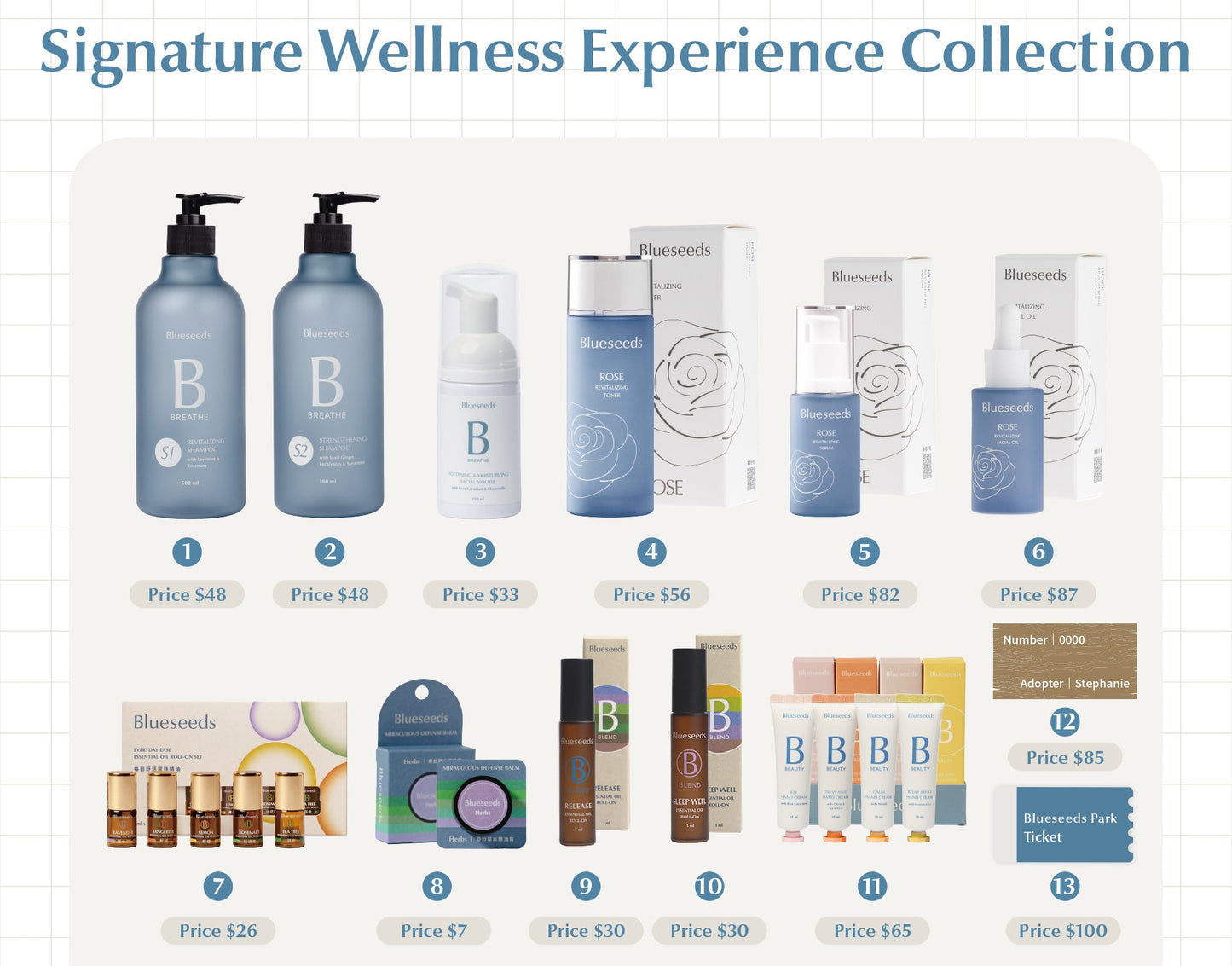 subscription Plan B - Blueseeds Signature Wellness Experience Collection - Kimberly