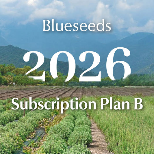 subscription Plan B - Blueseeds Signature Wellness Experience Collection