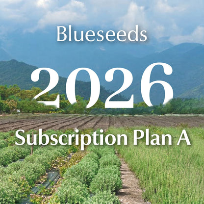 subscription Plan A - Blueseeds Luxury Wellness Ritual Collection - Sharon