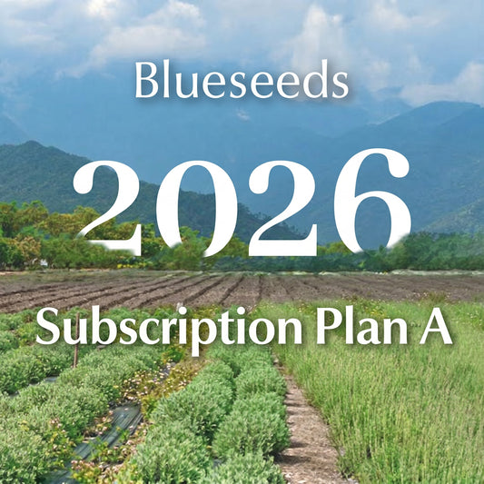 subscription Plan A - Blueseeds Luxury Wellness Ritual Collection
