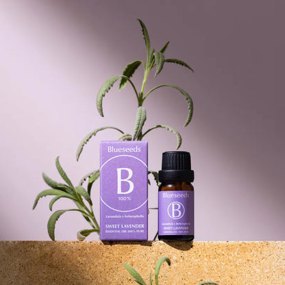 Lavender Essential Oil 10ml