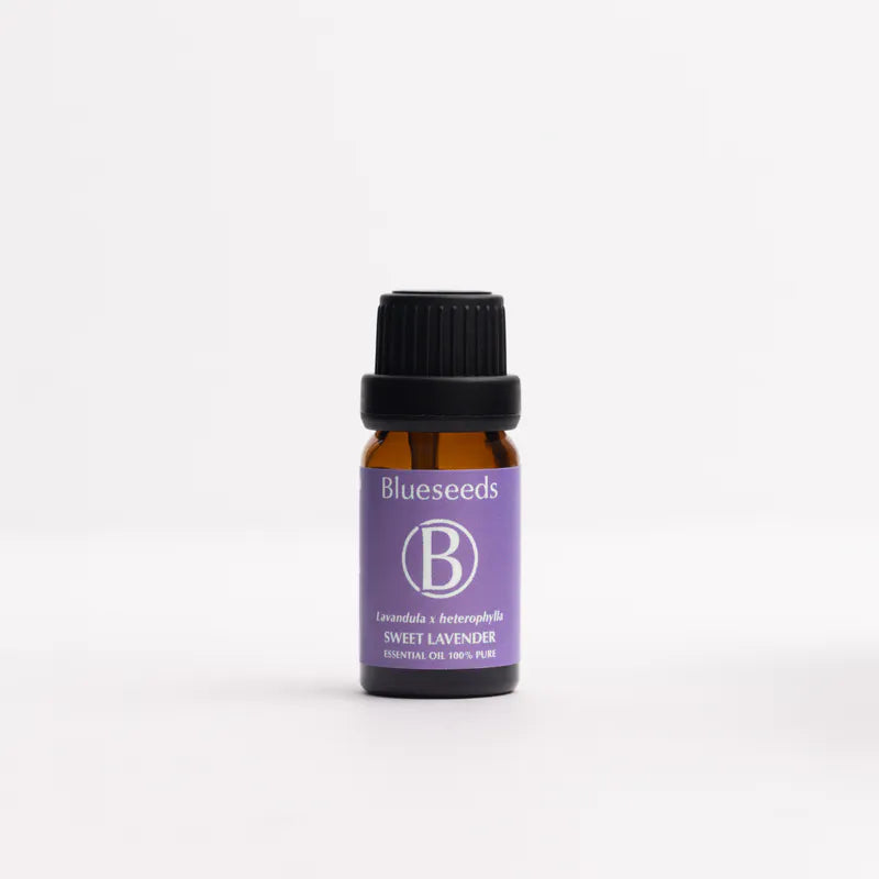 Lavender Essential Oil 10ml
