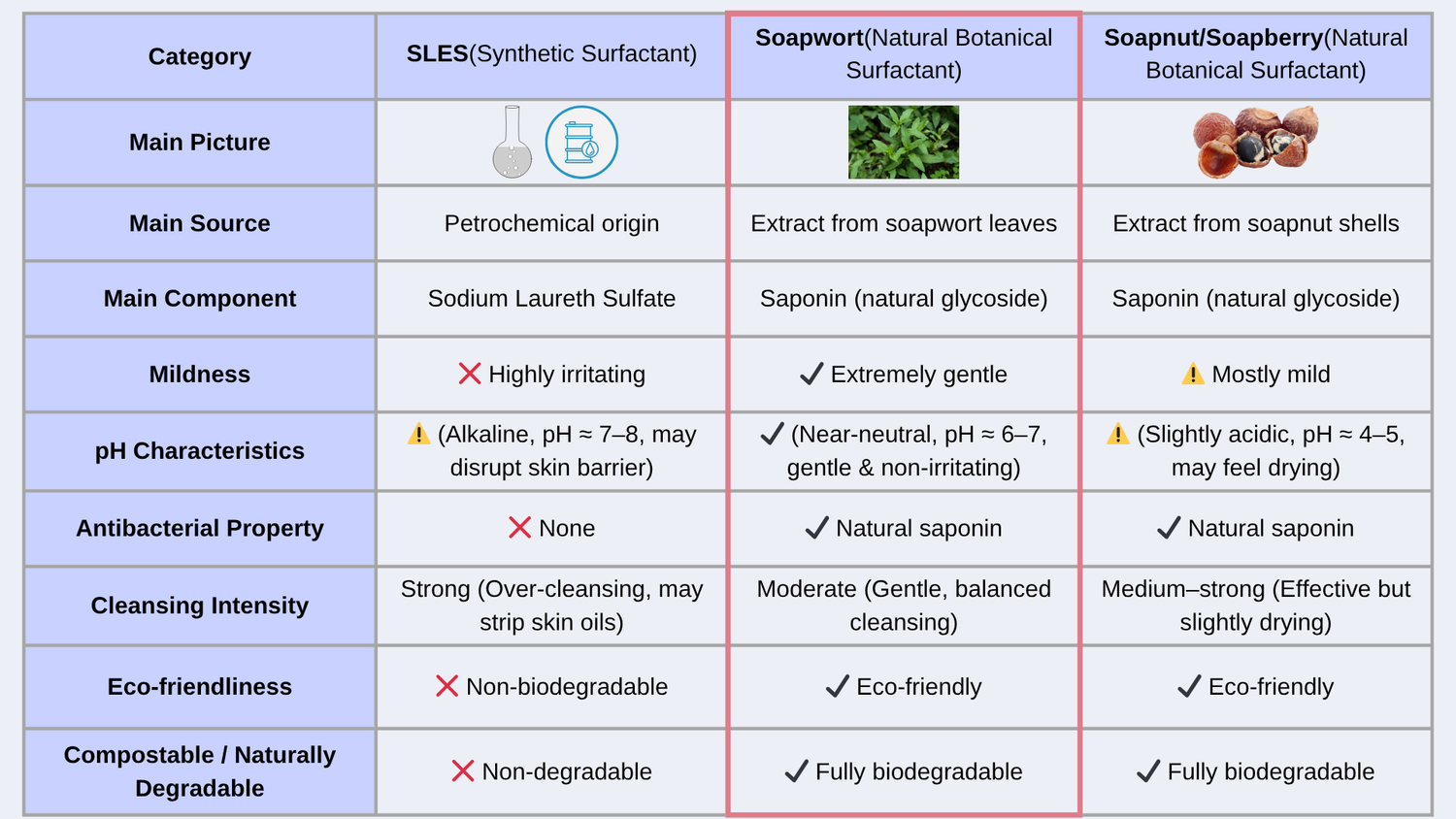 SLES vs Soapwort vs Soapnut surfactant comparison chart for natural skincare and cleaning products. The table compares their source, main ingredient, mildness, moisturizing effect, antibacterial property, degreasing strength, eco-friendliness, carbon footprint, and biodegradability. Soapwort, a natural botanical surfactant rich in saponin, stands out as the most gentle and eco-friendly alternative to synthetic SLES.