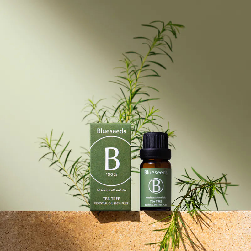 Tea Tree Essential Oil 10ml – Blueseeds 芙彤園